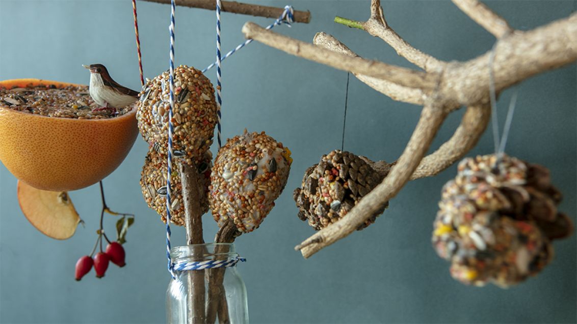 Ptačí hostina: Vyrobte si vlastní krmítko